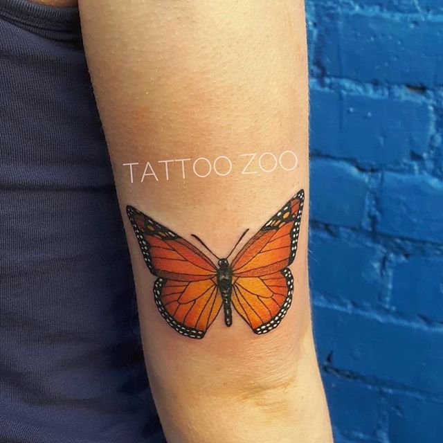 “You’re my butterfly, sugar baby…” – TATTOO ZOO