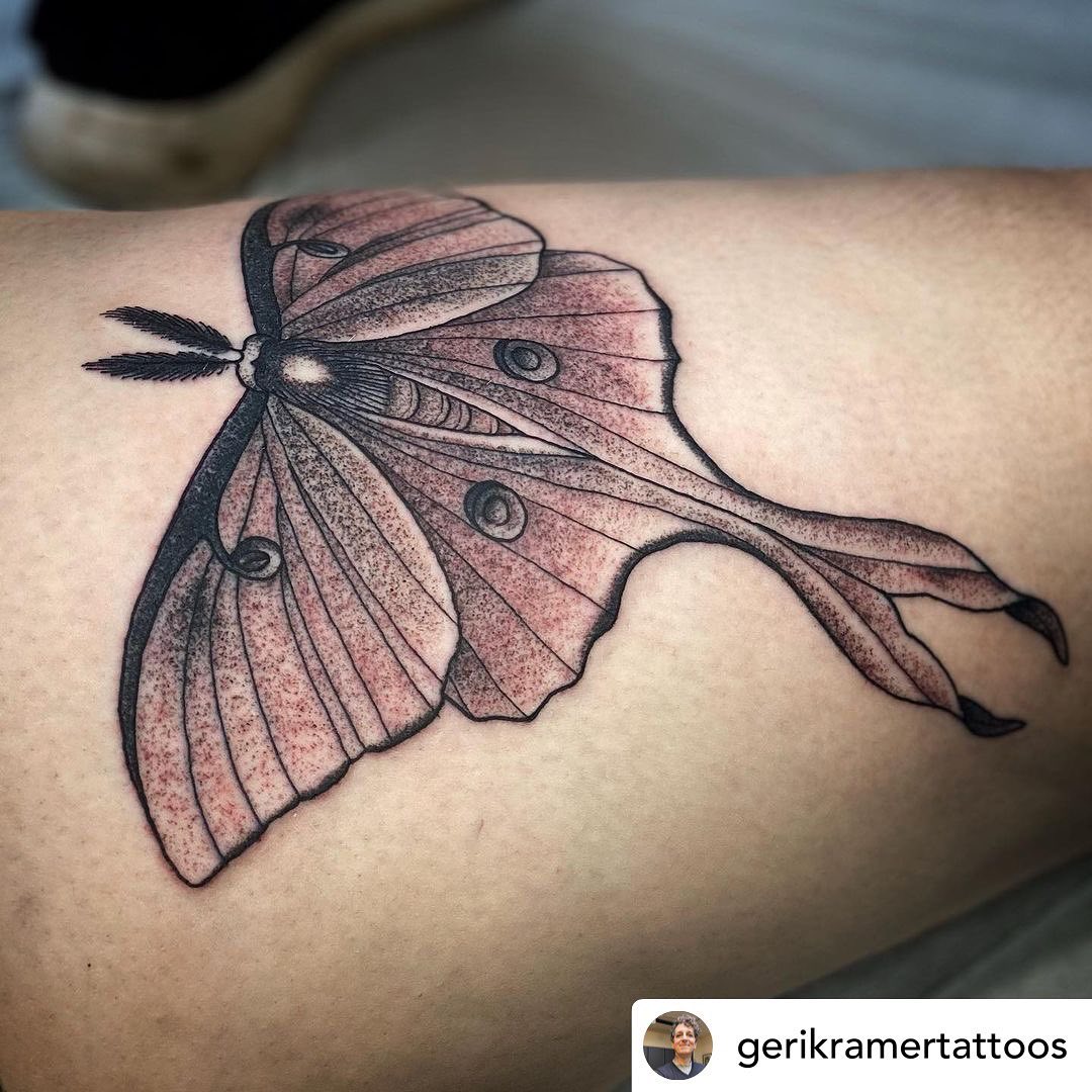 • @gerikramertattoos I read a story when I was younger that was about luna moths (I feel like Henry Huggins was involved but I can’t be sure) and I was POSITIVE that they were #1. Made up, and #2. A misspelling of Lunar Moths, because they came from space.I was such a weird little kid.🥰🥰🥰And if you’re looking to get tattooed by me outside of cancellations, I’ll be booking for the fall after August 1st. Y’all have truly overwhelmed me with projects, and I want to make sure I have the space and energy to make the best tattoo I can! Thank you for your continued trust. 🤩........#TransTattooer #TransTattooArtist #Transgender #Trans #QueerTattooer #TransWoman #QueerTattooArtist #QueerArtist #qttr #VictoriaTattooer #VictoriaTattooArtist#VictoriaBC #WeLoveTattooingYou #TattooZoo